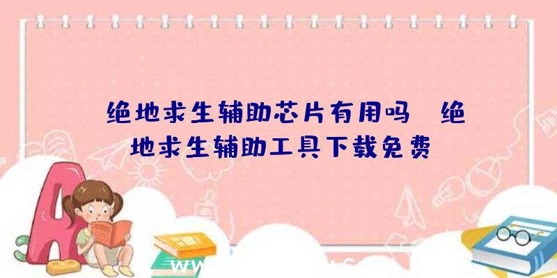 「绝地求生辅助芯片有用吗」|绝地求生辅助工具下载免费